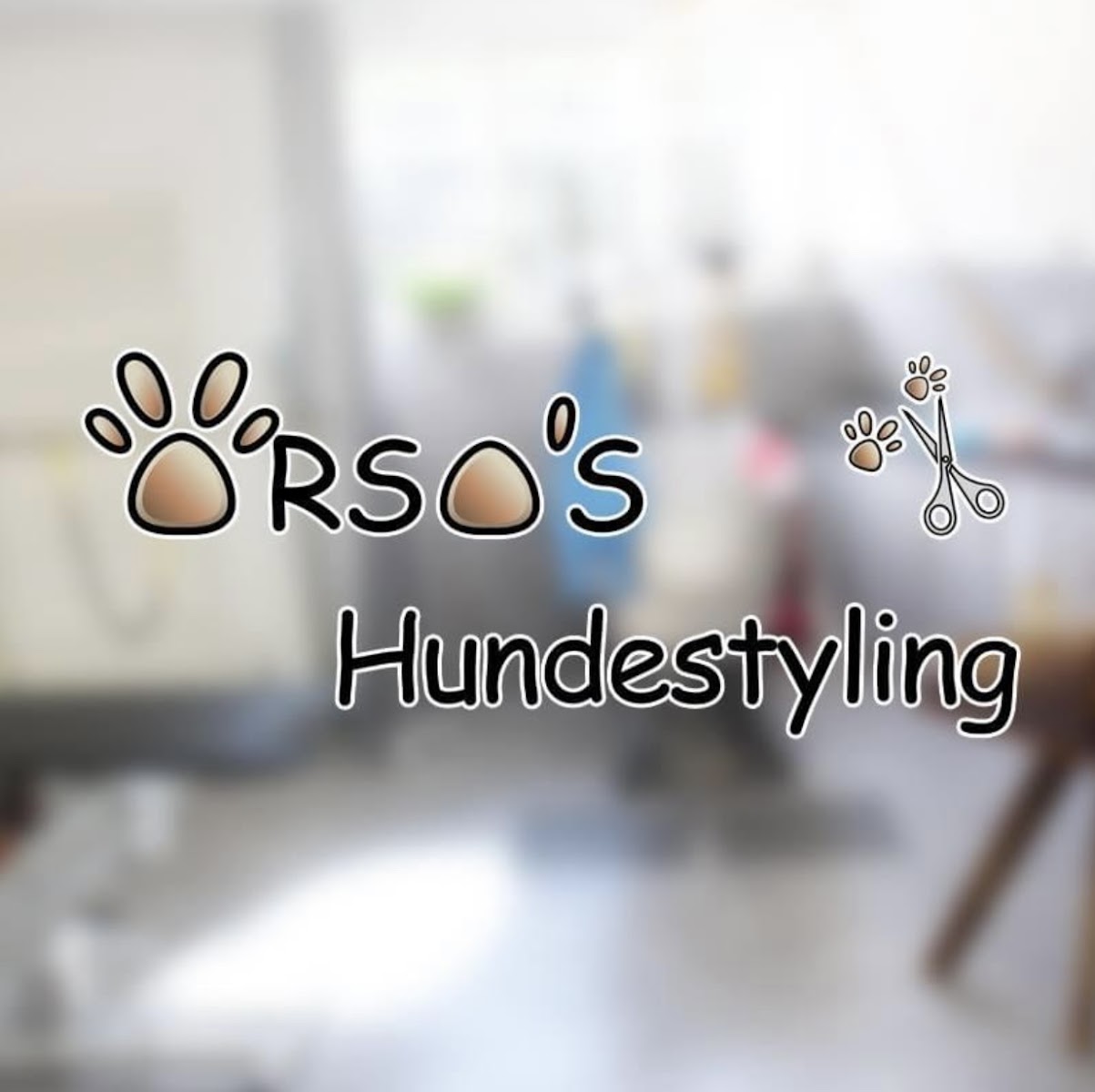 Hundestyling Zürich